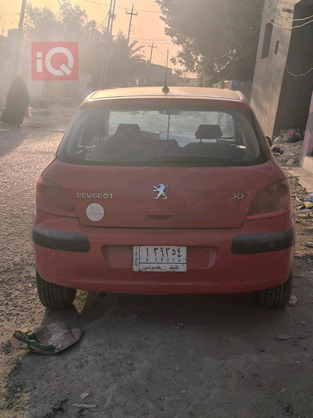 بیجۆ 307